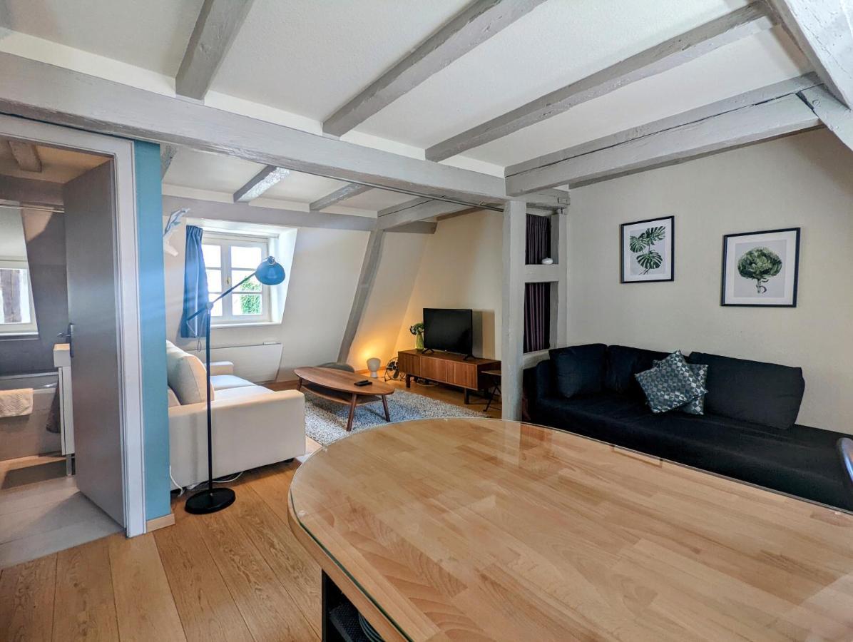Citycosy Strasbourg - Authentique Batelier Exterior photo